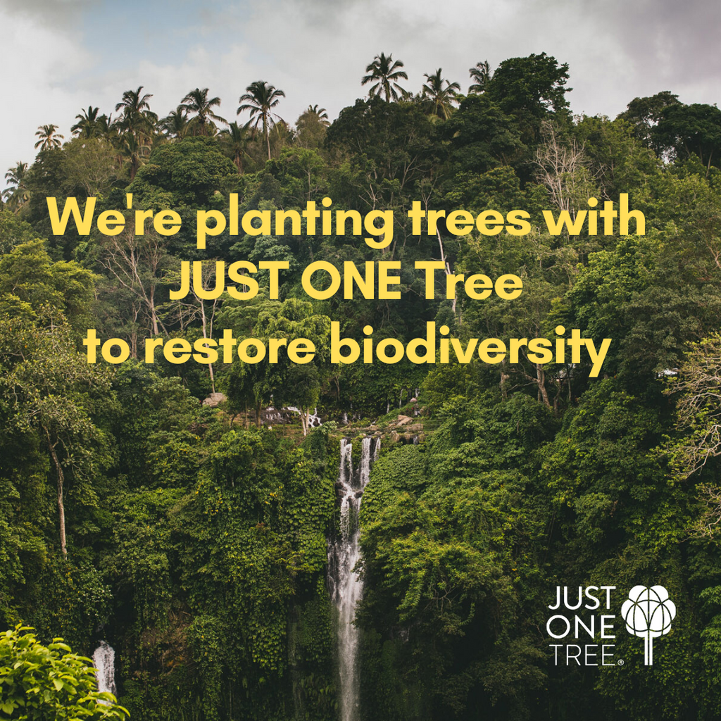 Salt & Pepper station