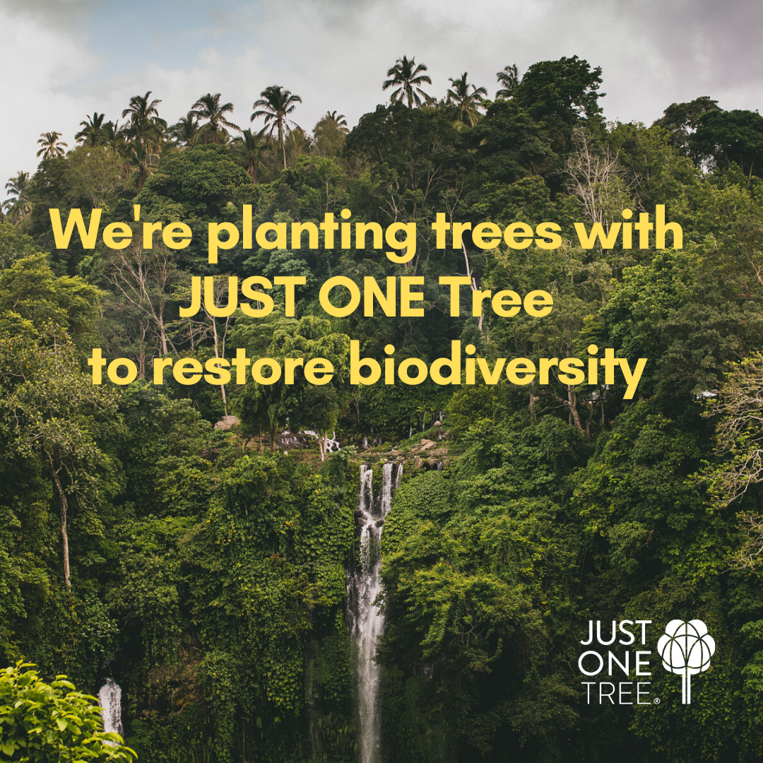 Salt & Pepper station