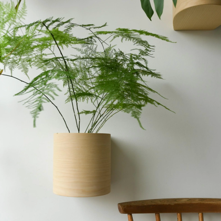 Plant Pod Set of 5 (ash)