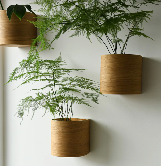 Plant Pod Set of 5 (oak)