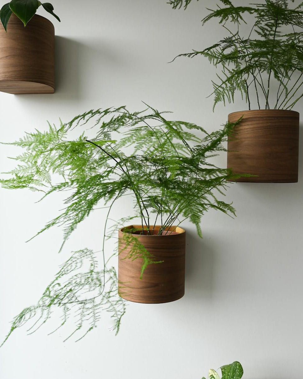 Plant Pod Set Of 3 (walnut)